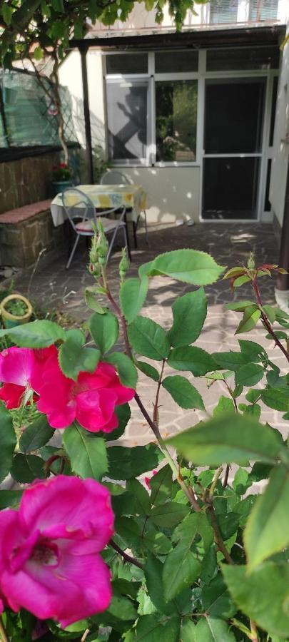 Apartma Marinka بيران المظهر الخارجي الصورة