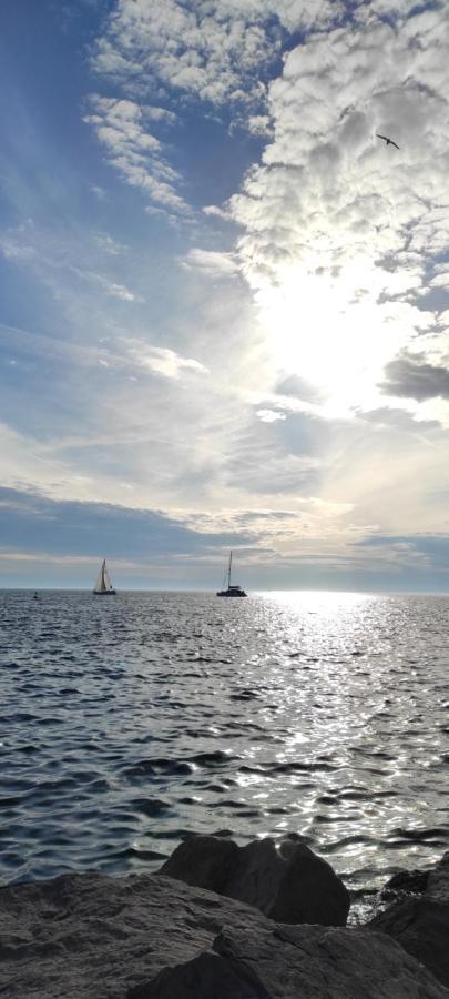 Apartma Marinka بيران المظهر الخارجي الصورة