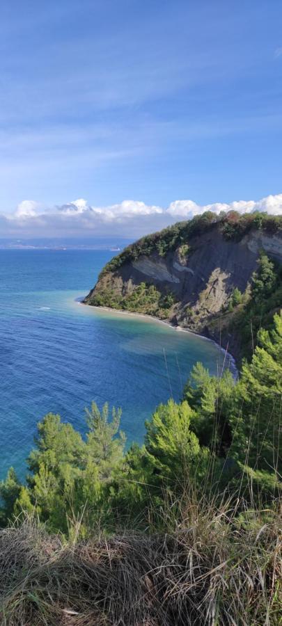 Apartma Marinka بيران المظهر الخارجي الصورة