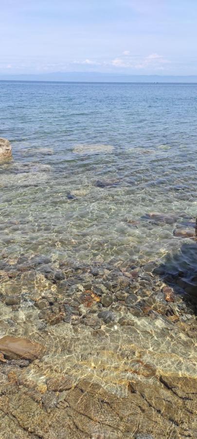 Apartma Marinka بيران المظهر الخارجي الصورة