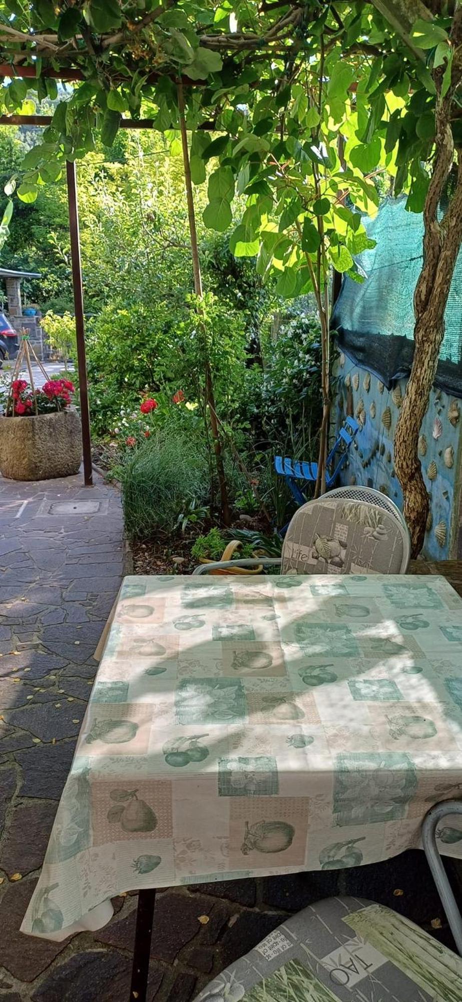 Apartma Marinka بيران المظهر الخارجي الصورة