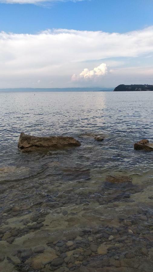 Apartma Marinka بيران المظهر الخارجي الصورة