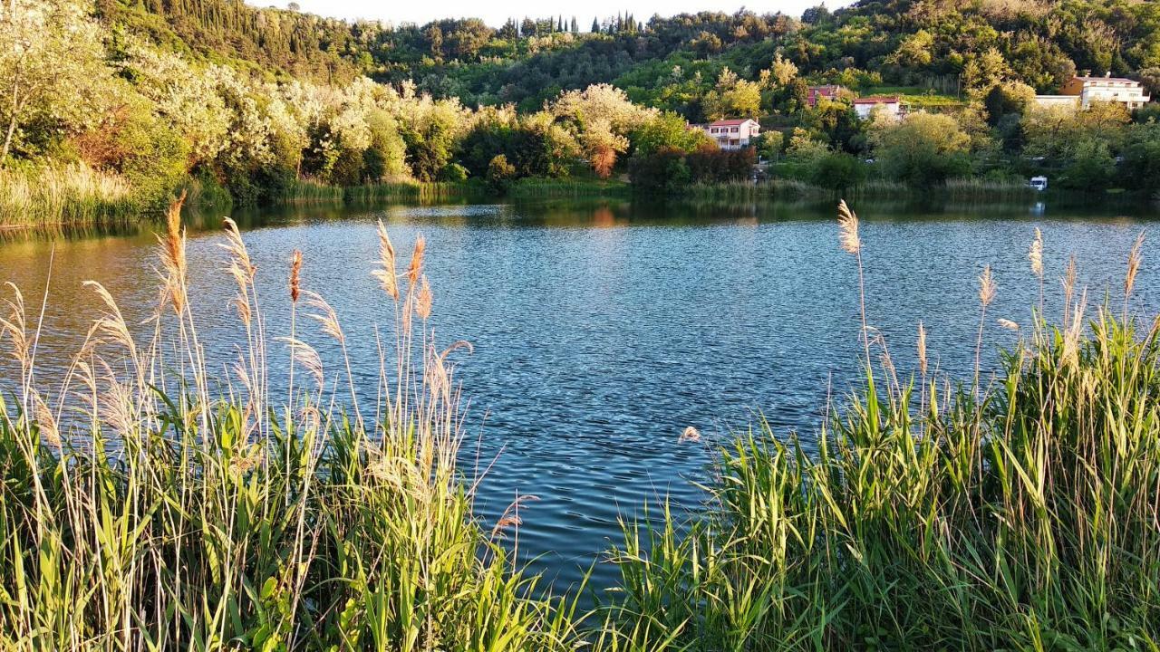 Apartma Marinka بيران المظهر الخارجي الصورة
