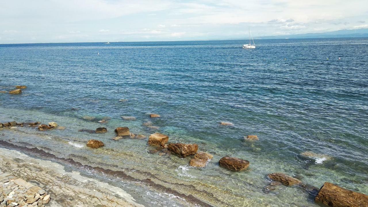 Apartma Marinka بيران المظهر الخارجي الصورة