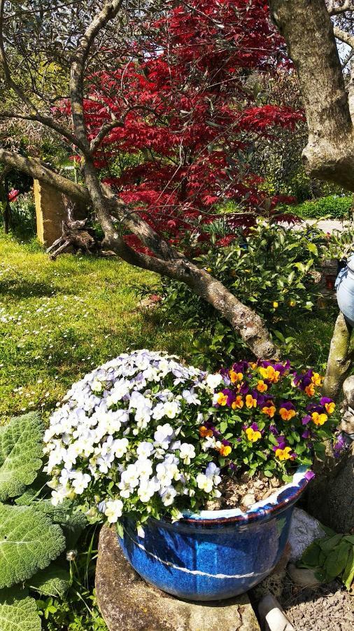 Apartma Marinka بيران المظهر الخارجي الصورة